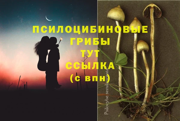 дживик Абдулино
