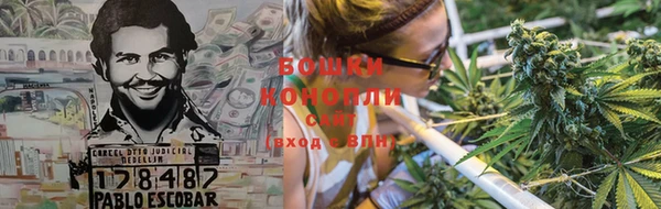 гидропоника Абаза