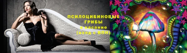 гидропоника Абаза