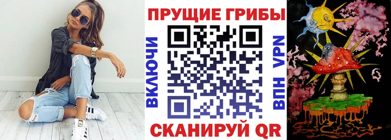 купить наркотик  Власиха  Псилоцибиновые грибы ЛСД 